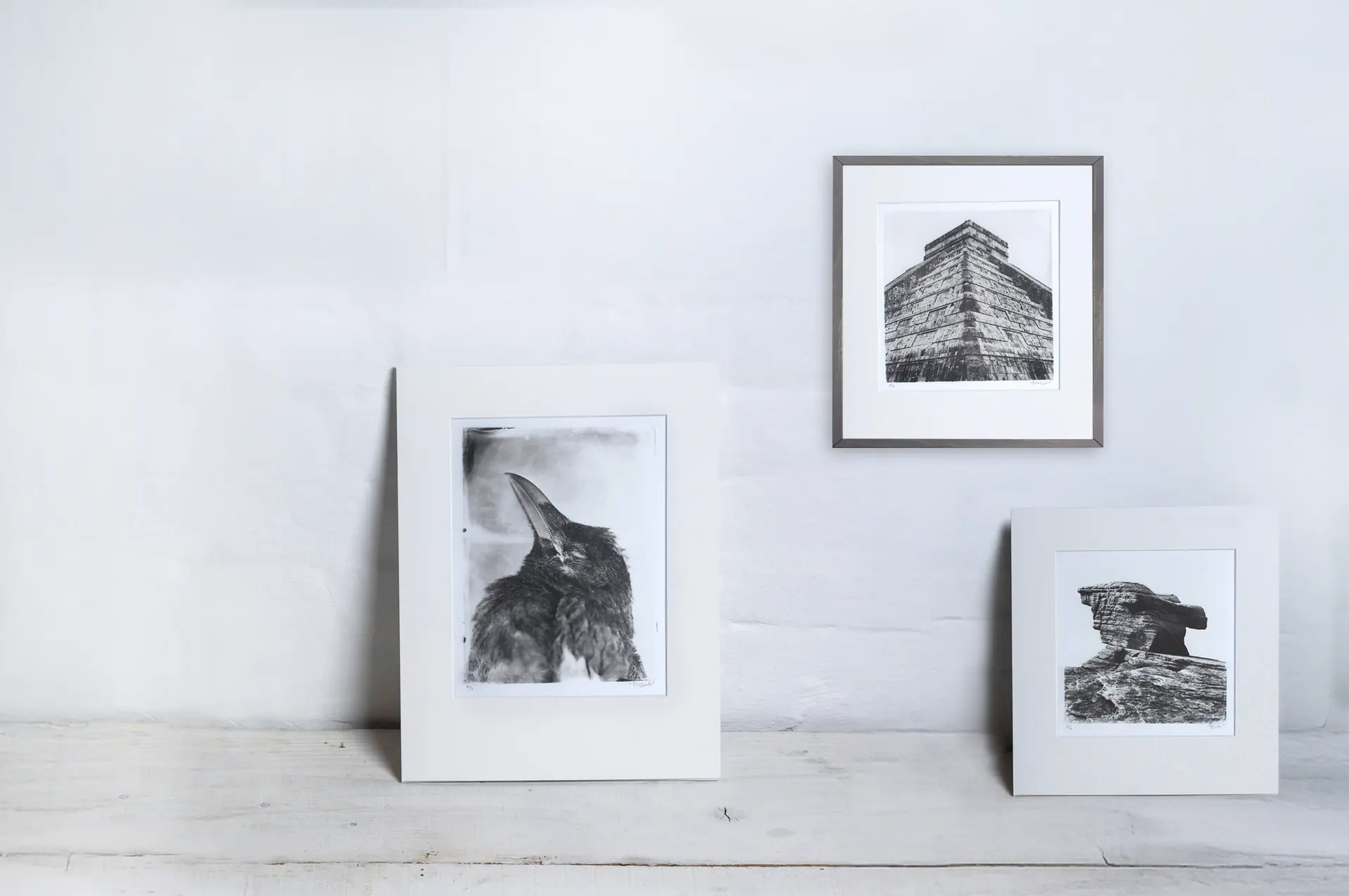 Analog Photography Prints by Rene Huemer